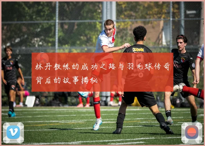 林丹教练的成功之路与羽毛球传奇背后的故事揭秘