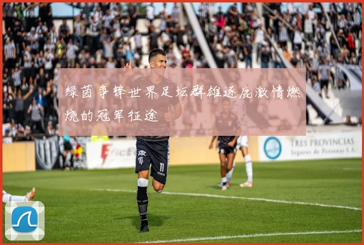 绿茵争锋世界足坛群雄逐鹿激情燃烧的冠军征途