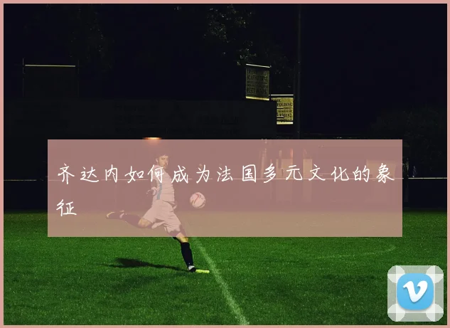 齐达内如何成为法国多元文化的象征