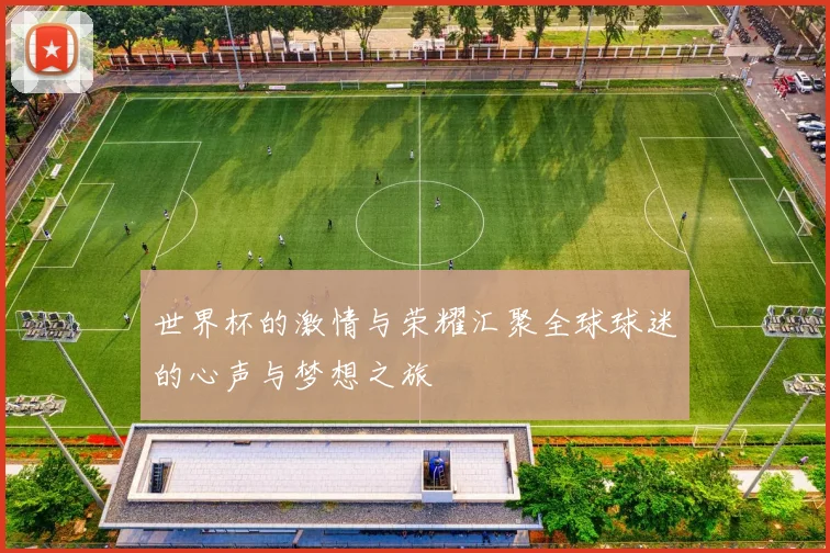 世界杯的激情与荣耀汇聚全球球迷的心声与梦想之旅