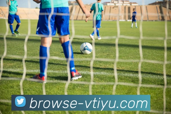 vtiyu平台生态图